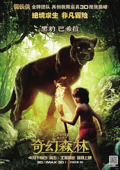 明尼苏达州驾照怎么制作